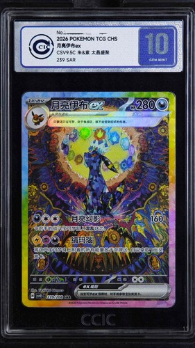 Ccic pokémon raduno - 10,