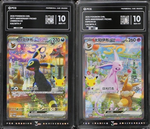 Pcg pokémon cinese - pcg, 10