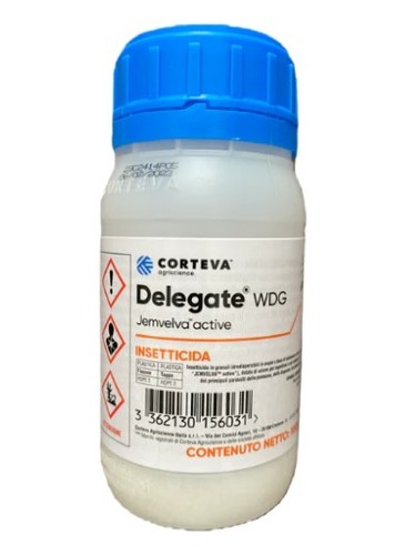 Delegate 250 100 - delegate,